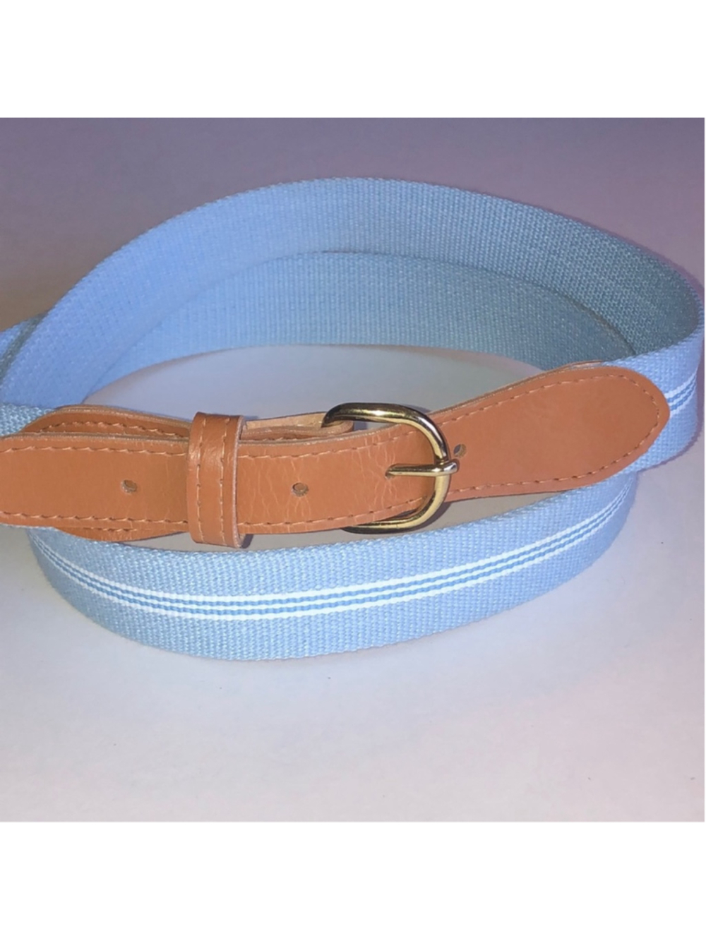 Light Blue Striped Canvas Fabric Belt with Tan Leather Trim